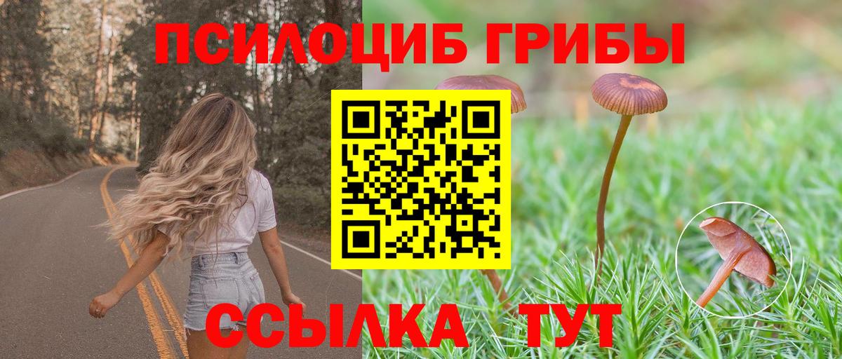 Зерноград  Галлюциногенные грибы ЛСД  Вход с VPN  Псилоцибиновые грибы GOLDEN TEACHER 