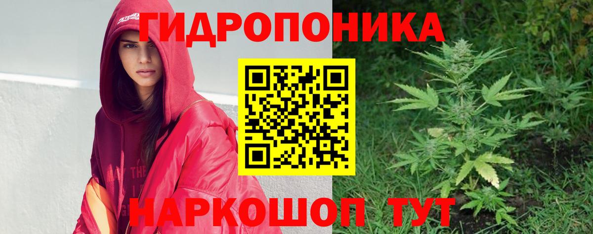 Зерноград  Шишки марихуана Ganja  Вход с VPN  Марихуана гибрид  Бошки Шишки Amnesia 
